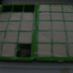 Guava3